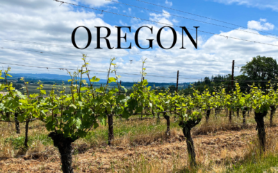 All You Need to Know about Oregon Wine Country