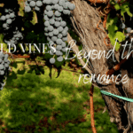 Old Vines Beyond the Romance