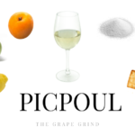 All You Need to Know About Picpoul: A Quick Guide