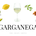 All You Need to Know About Garganega: A Quick Guide