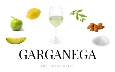 All You Need to Know About Garganega: A Quick Guide