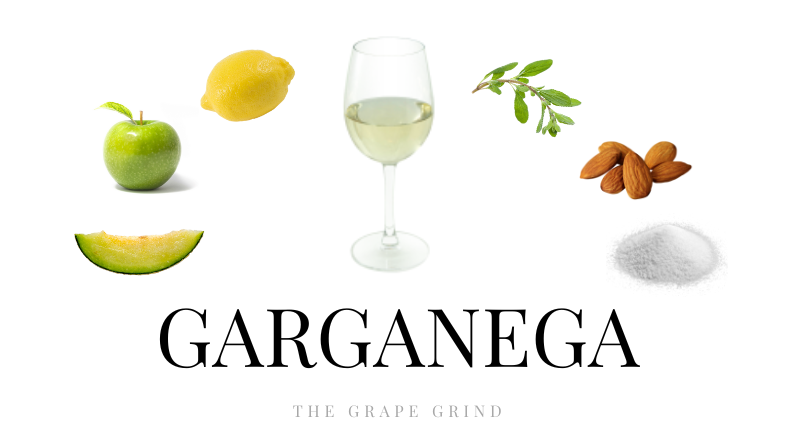 All You Need to Know About Garganega: A Quick Guide