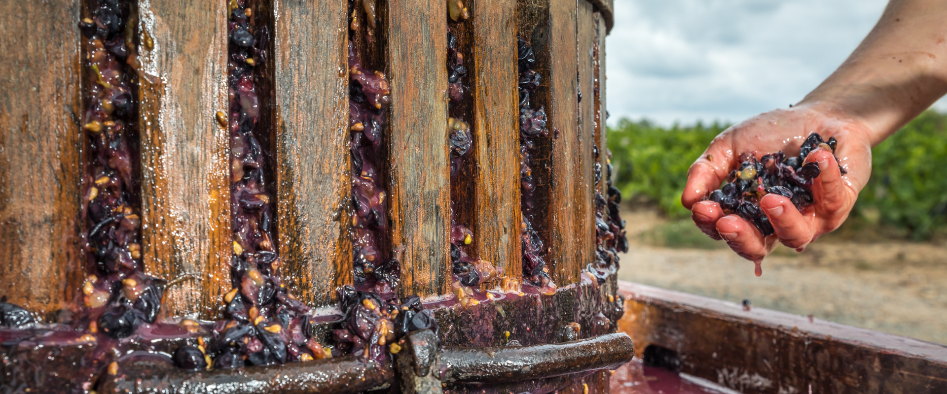 Beaujolais