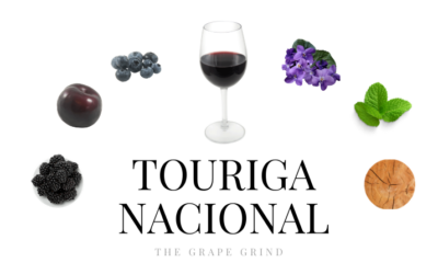 Everything You Need to Know About Touriga Nacional; A Quick Guide