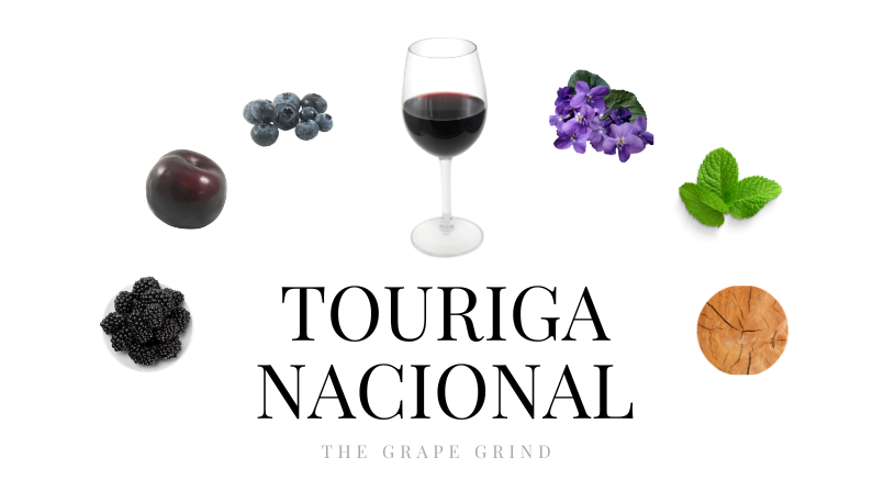 Everything You Need to Know About Touriga Nacional; A Quick Guide